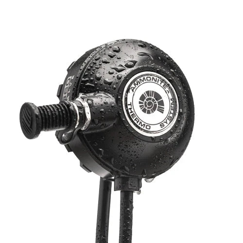 Ammonite T-Valve, nass in Isoansicht