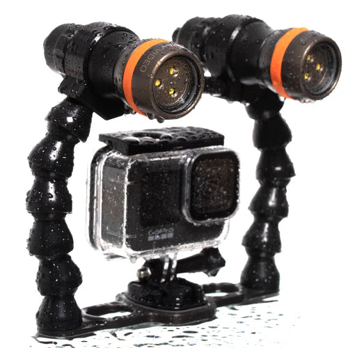 Ammonite LED Stingray Mark II Video Set