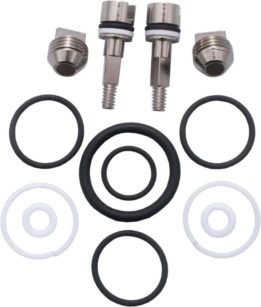 Dirzone Revisionskit für Ventil mit 2. Abgang