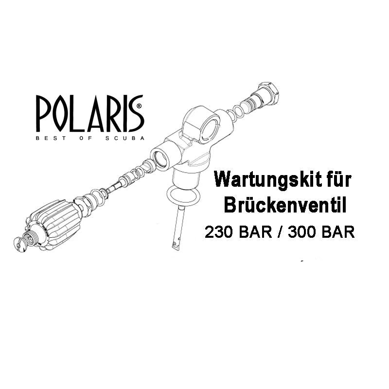 Polaris Wartungssatz Brückenventil mit Zweitabgang, Ventil einzeln
