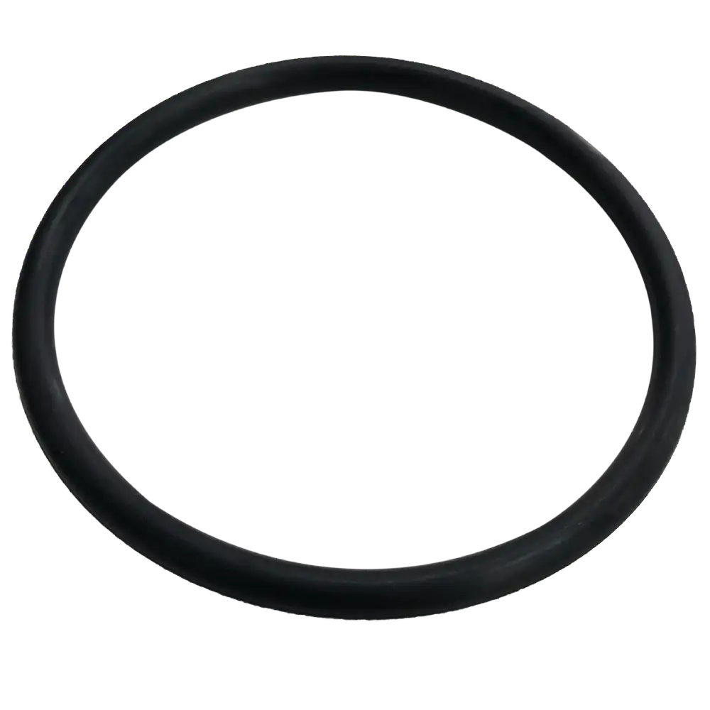 Scuba Force Thenar Ersatz O-Ringe (2 Stk.)