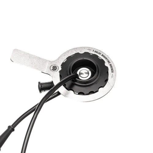 Ammonite Doppel-T-Valve von hinten mit angesetztem Montage Werkzeug