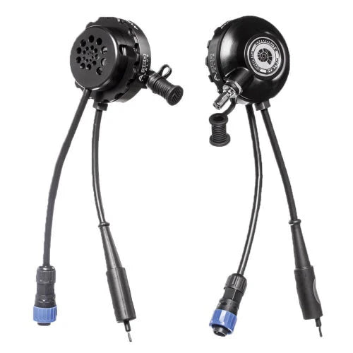 Ammonite T-Valve, 1x von vorne, 1x von hinten